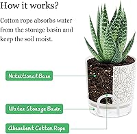 Vista 4 de Macetas de Riego Automático para Plantas de Interior, Macetas para Flores, Maceta de Riego Automático de 2 piezas 4+5.3 pulgadas Textura con Grietas