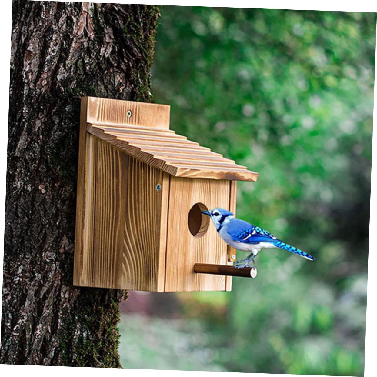 Casetta per Uccelli in Legno Marrone per Giardino Casa Semplice per Uccelli Piccoli Resistente e Traspirante