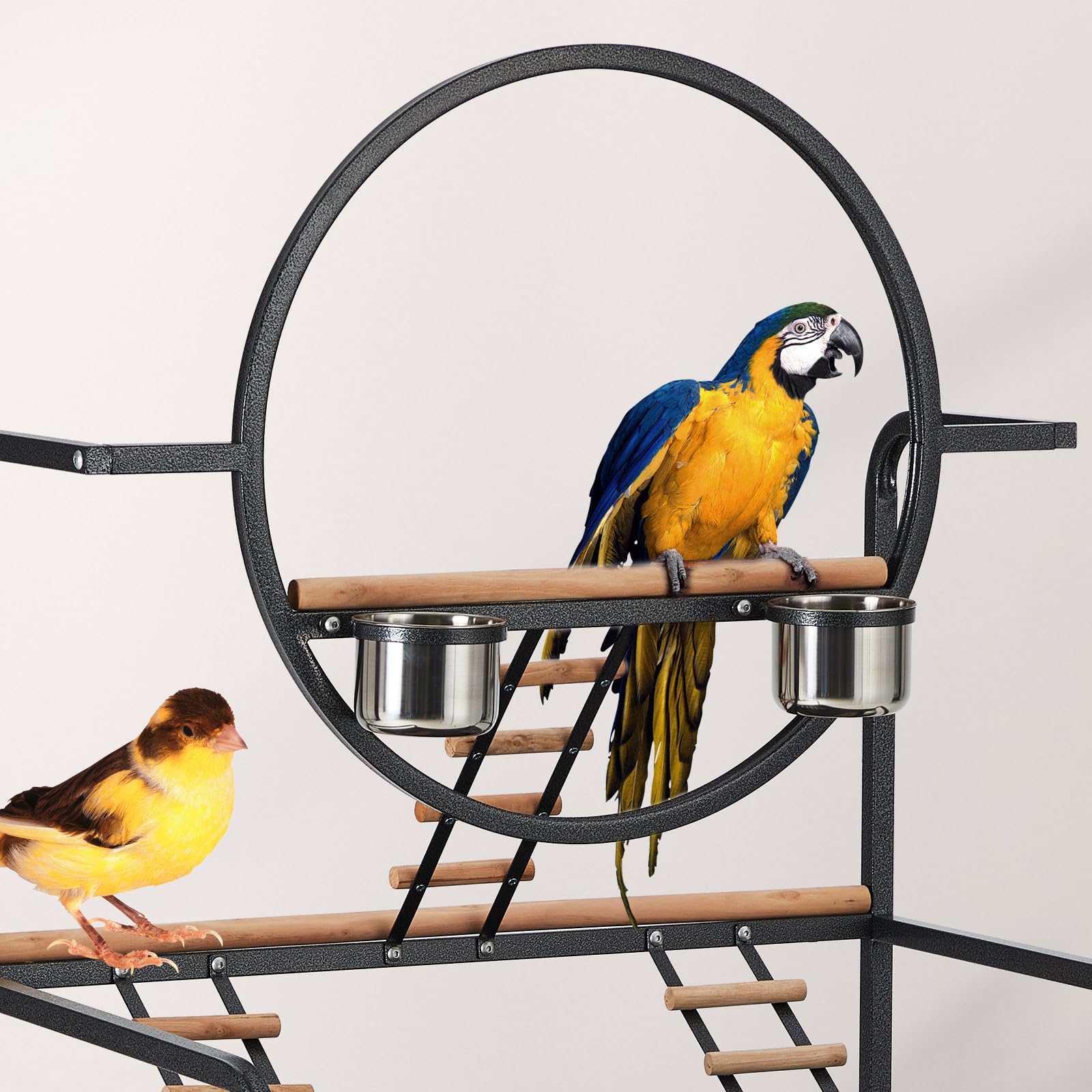 Garvee Espaciosa jaula de metal para pájaros con soporte de juego – Soporte grande de 66 pulgadas, pajarera, perchas, escaleras, bandeja extraíble, centro de actividades en interiores y exteriores