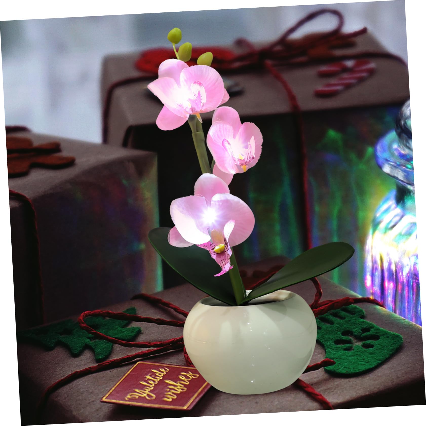 Zerodeko Luce LED Fiore in Vaso Rosa, Design Phalaenopsis, Ceramica | Riutilizzabile, Decorazione per Casa e Piazza Comunitaria, Forma Floreale Simulata