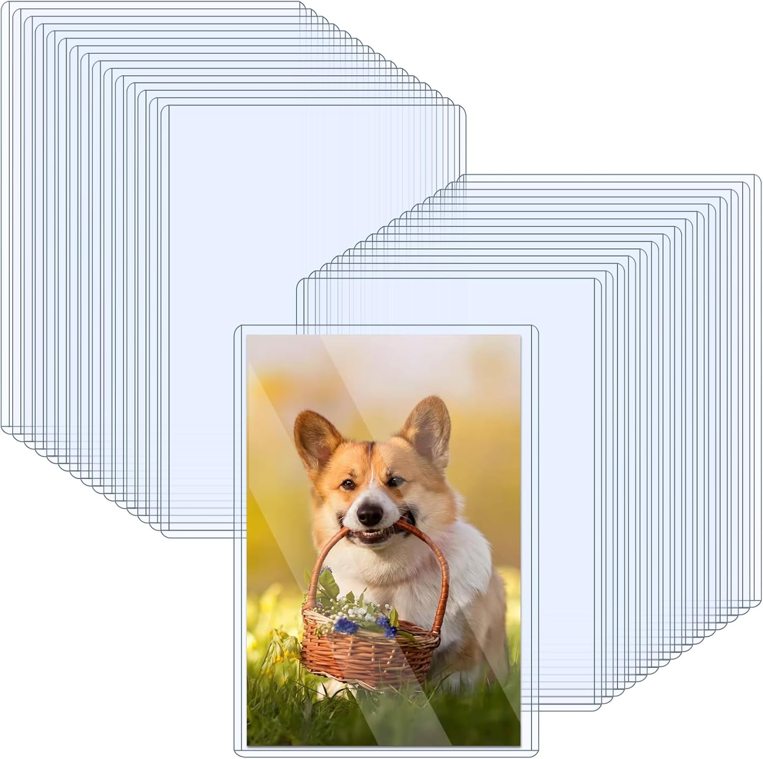 30 Pack Rigid Print Protectors 5" x 7" Clear Photo Protectors Hard Plastic Photo Sleeves Top Loading Card Plastic Sleeves