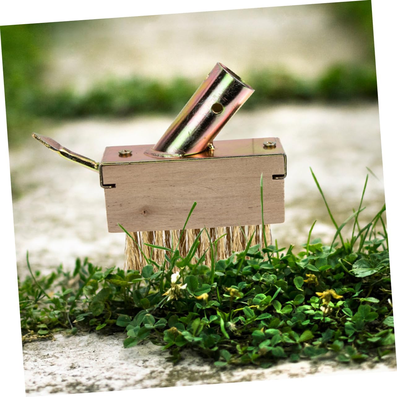 Mipcase 6pcs Wire Weeding Brush for Garden and Manual Weeders Stiff Copper Wire for Removing Grass and Debris from Patios Sidewalks and Driveways