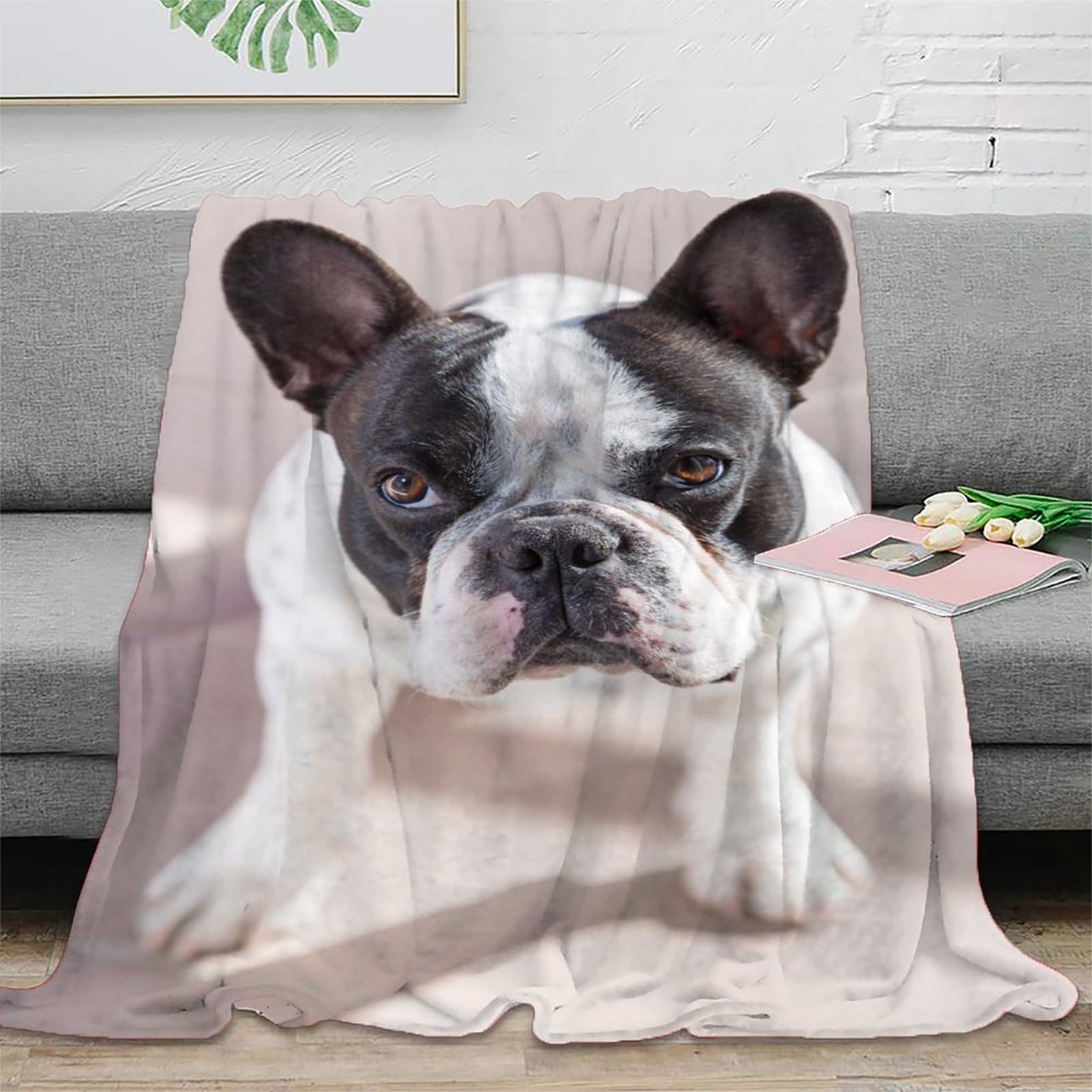 Jeté de canapé bouledogue français 3D : la solution contre le froid en voyage
