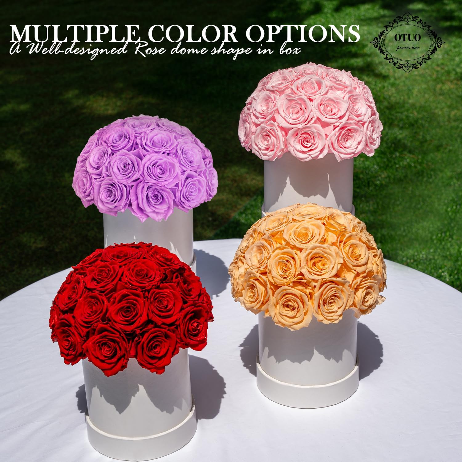 27 Preserved Roses in Round Dome Shape, Mother's Day Real Forever Flowers Rose Box, Eternal Rose Gift for Her Women Girl Friend Wife, Flower Gift for Valentines Day(Pink) - Image 2