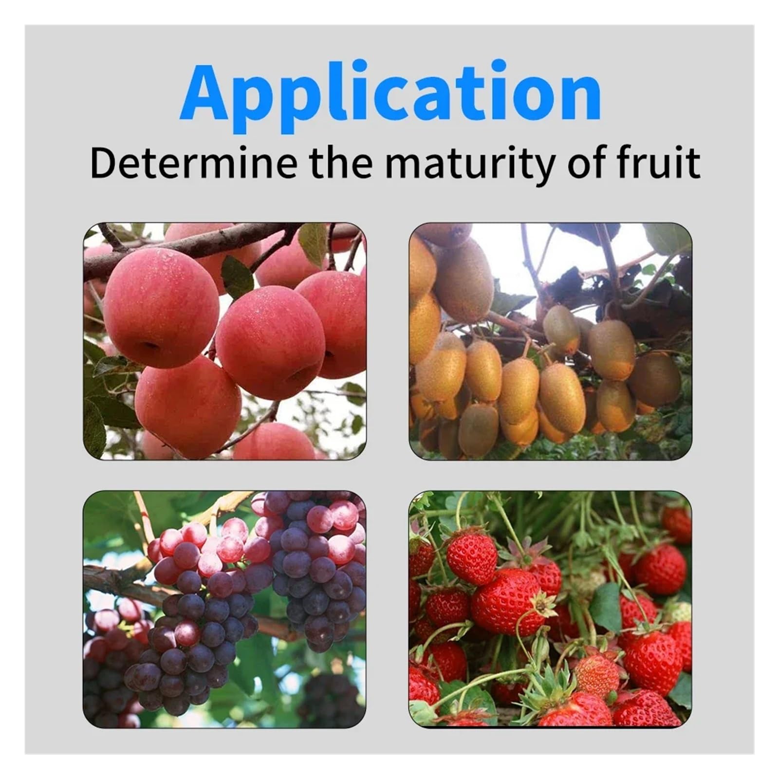 GY-M15/M30 Probador de dureza de Frutas Digital Penetrómetro de Frutas for Manzanas, Peras, Fresas, Uvas Medición con esclerómetro de Frutas(GY-M15)