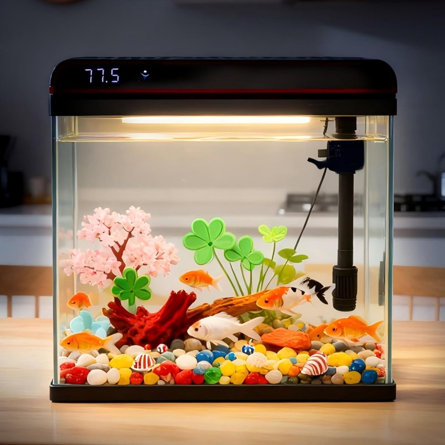 Coospider 5 Gallon Glass Fish Tank, Aquarium Starter Kit, Simpel Self-Cleaning Aquarium Kit with Ultra-Quiet Filter Pump, 3-Color LED Lights, Temp Monitoring for Fish, Shrimp, Kids Gift Ideas