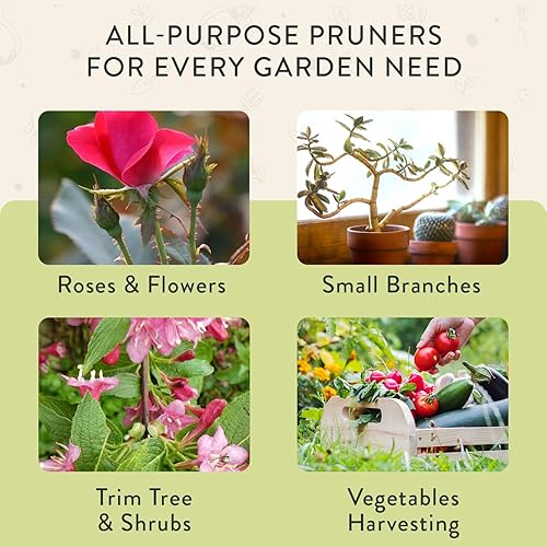 Miniatura 9 de Modern Sprout Hand Pruners - Lightweight Pruning Shears W/Easy Lock- Gardening Scissors - Bypass Sharp Carbon Steel Blade - Rust Resistant - Garden