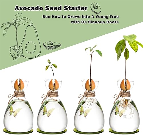 Miniatura 2 de Florero de semillas de aguacate, jarrón de cristal para principiantes de semillas de aguacate con alfombrilla absorbente y calcomanías de mariposa,
