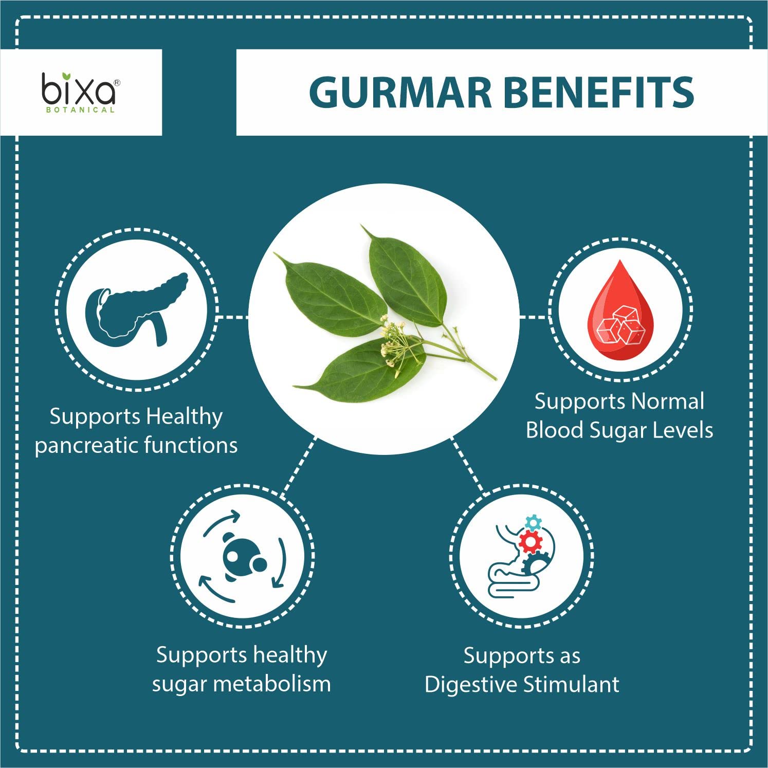 Gudmar Powder 200g (Gurmar/Gymnema Sylvestre Leaf) | Digestive Stimulant, Natural Herbal Supplement For Normal Blood Sugar Levels Bixa Botanical - Image 2 thumbnail