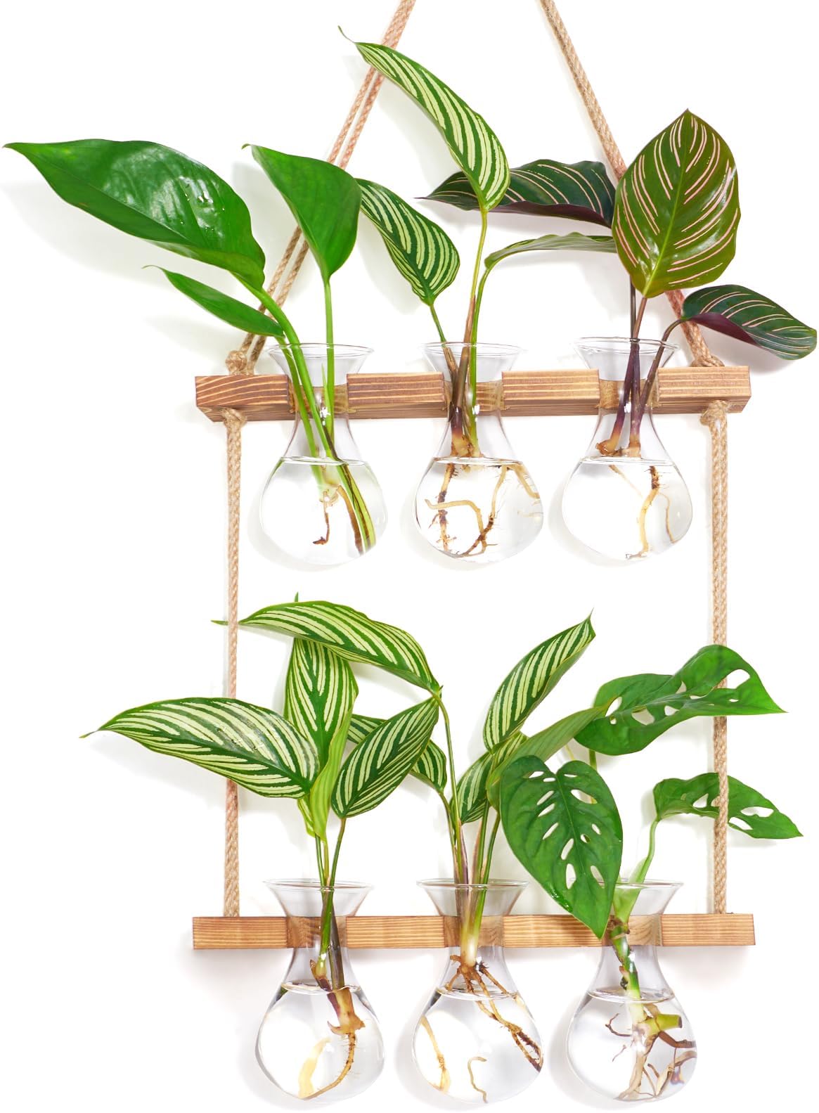 XXXFLOWER Wall Hanging Plant Propagation Station with Wooden Stand 3 Bulb Vase 2 Tiers Glass Planter Stations for Hydroponic Plant Cuttings Home Garden Wedding Decoration