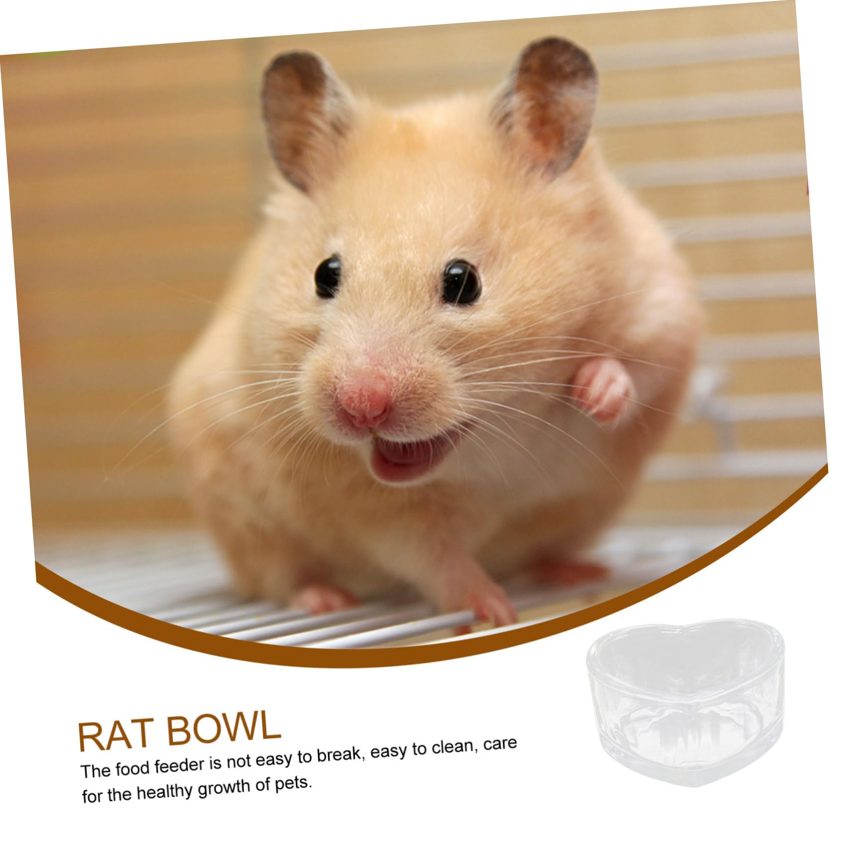 BESPORTBLE 10stücke Kompakte Hamsterfüterschale Abwaschbare Transparente Schalen Für Hamster Und Kleintiere Für Futter Und Wasser Rutschfestes Design Geeignet Für Zuhause