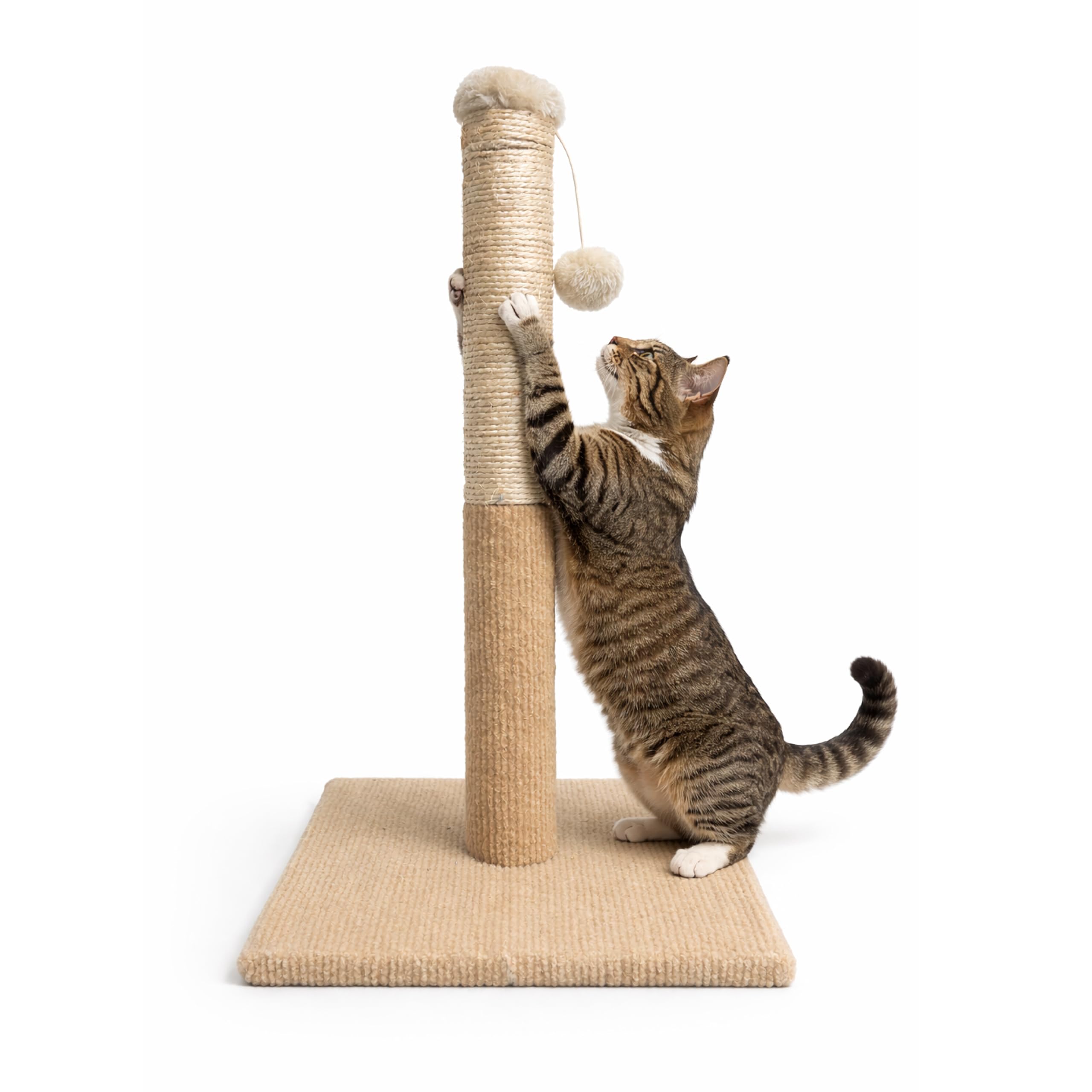 Arbre à chat en sisal ASPCA marron clair pour chaton