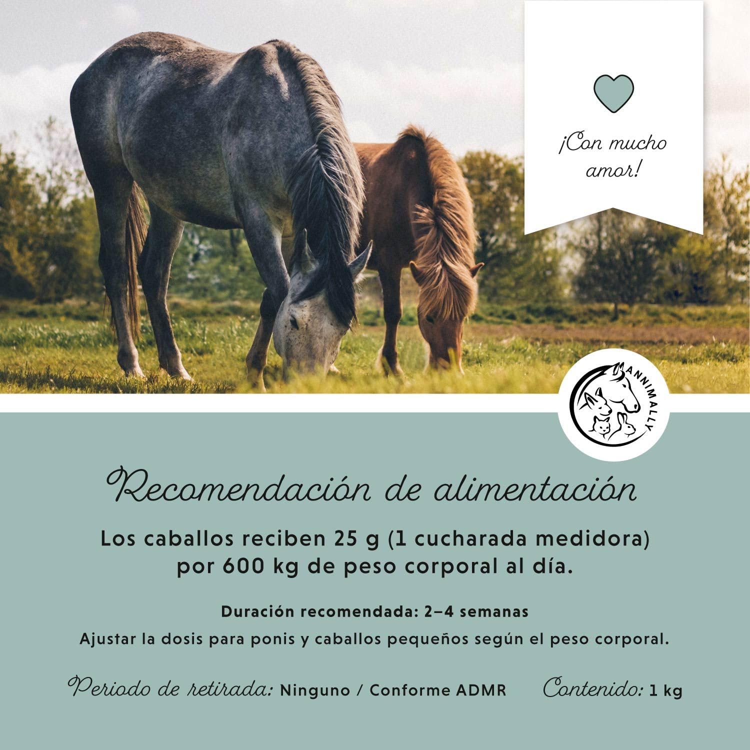 Annimally Pellets de Magnesio para Caballos 1 kg - Acetato de Magnesio y Óxido de Magnesio para una máxima biodisponibilidad