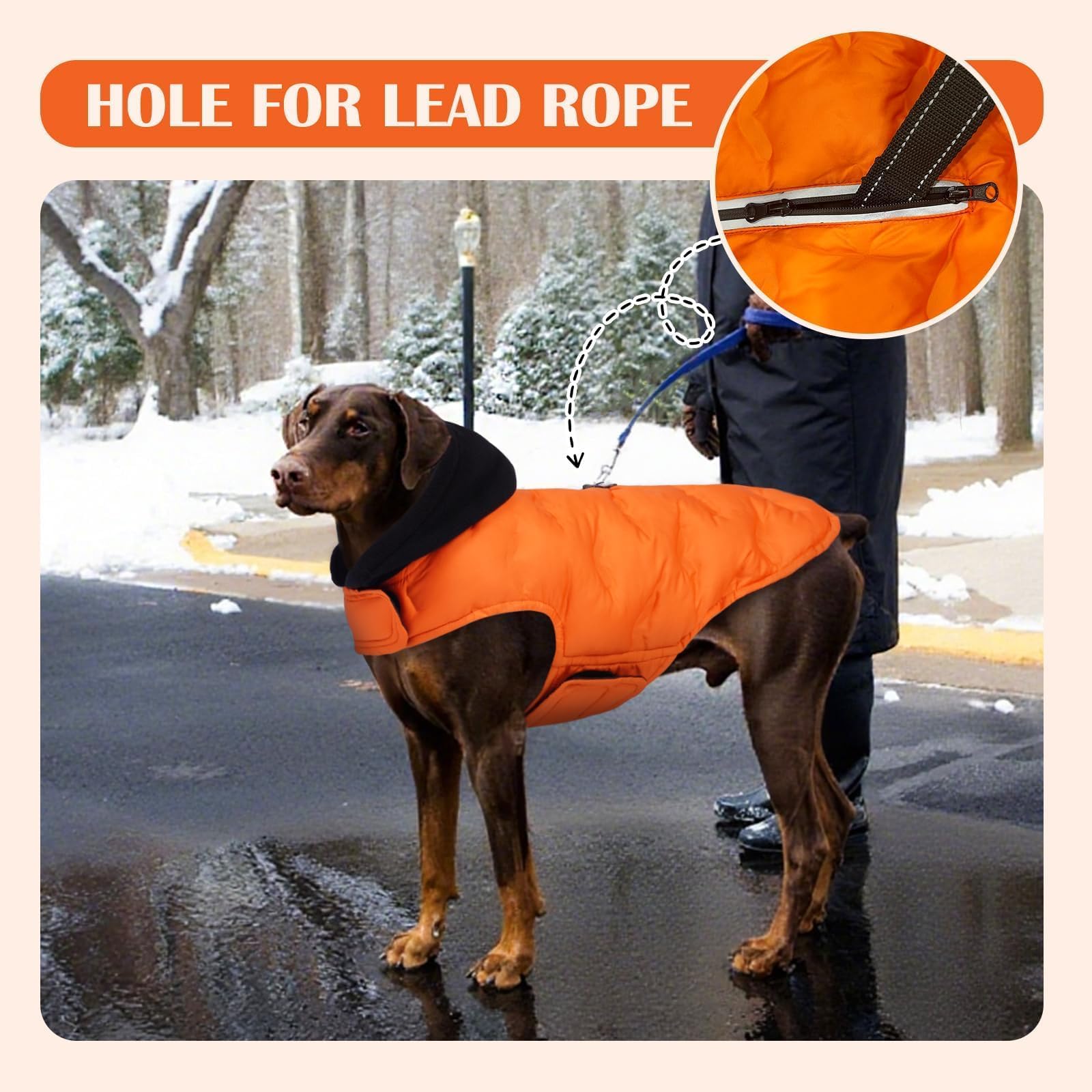 DORA BRIDAL Veste chaude et légère avec capuche pour chien - Veste réfléchissante pour temps froid - Pour chiens de taille moyenne - Orange - Taille M