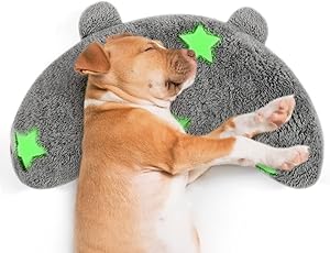 Snoring in Dogs ! 9 Common Reasons Why Your Dog is Snoring 5 71b5PXAdtGL. AC SL300