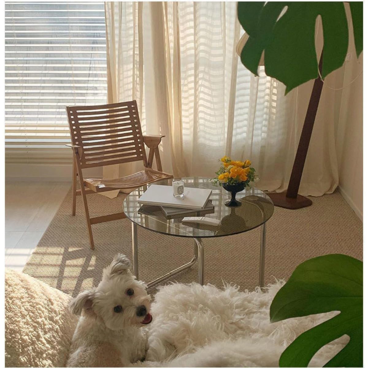 Amazon.co.jp: ガラスコーヒーテーブル、北欧透明コーヒー、リビング