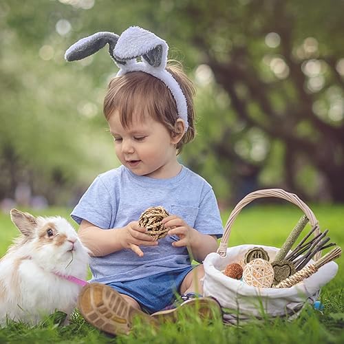 Miniatura 4 de 14 piezas de juguetes de conejo, juguetes para masticar, juguetes de hámster para dientes, madera de manzana natural, palitos de heno Timothy,