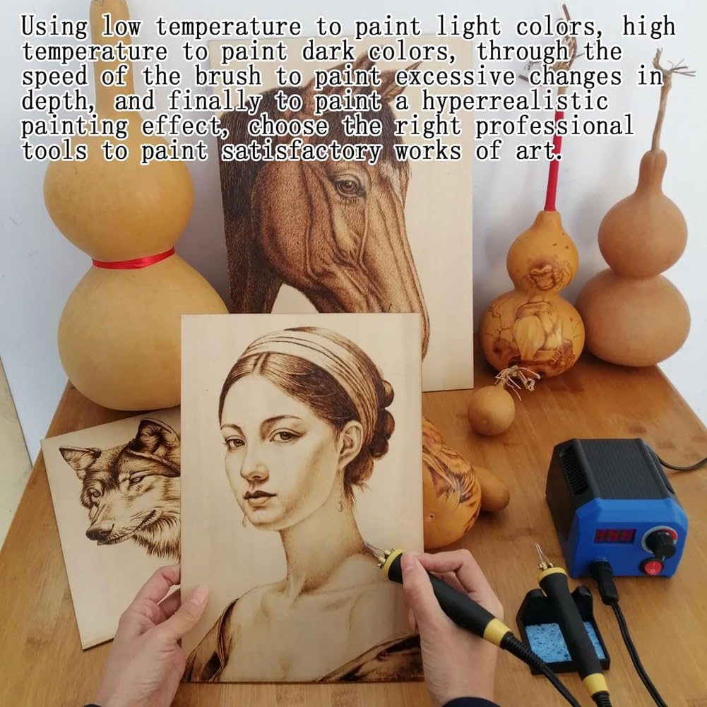 Wood Burner Tool Kit, Digitally Adjustable Temperature Wood Burner Kit, US Plug