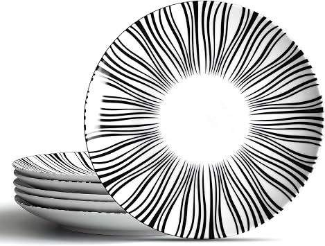 8 Inch Black and White Striped Plates Set of 6, Zebra Pattern Ceramic Salad Plates, Modern Minimalist Porcelain Dinnerware for Kitchen, Restaurant & Party, Microwave & Dishwasher Safe