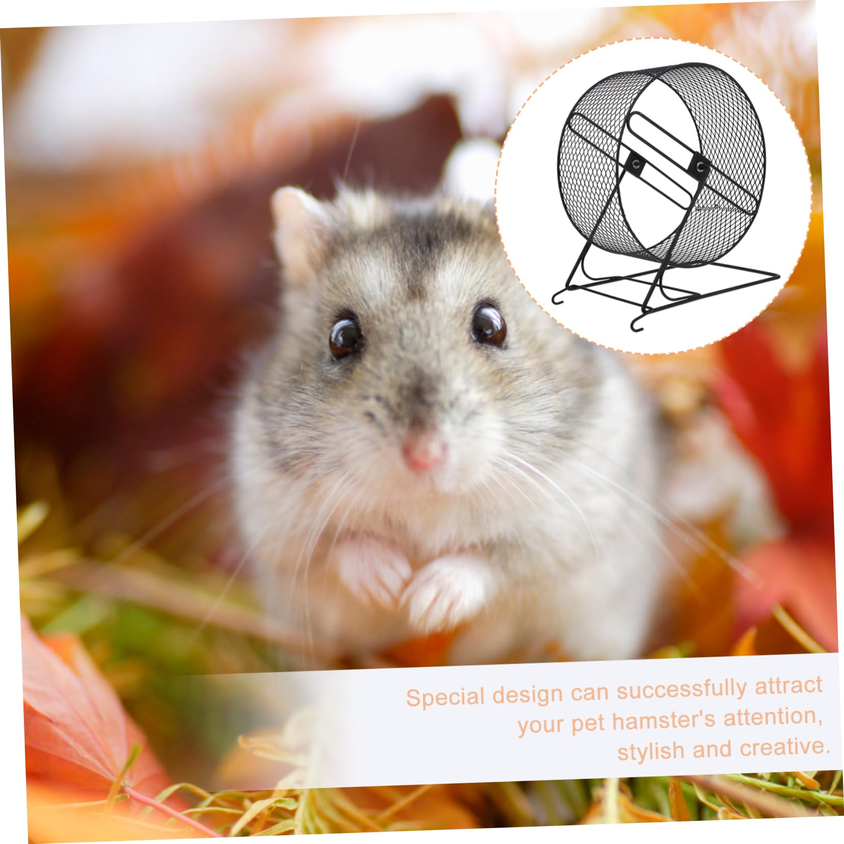 ORFOFE Ruota Silenziosa come Criceti Ricci per Ferro Nero Gioco Esercizio Piccoli Animali Domestici Scoiattoli e Porcospini