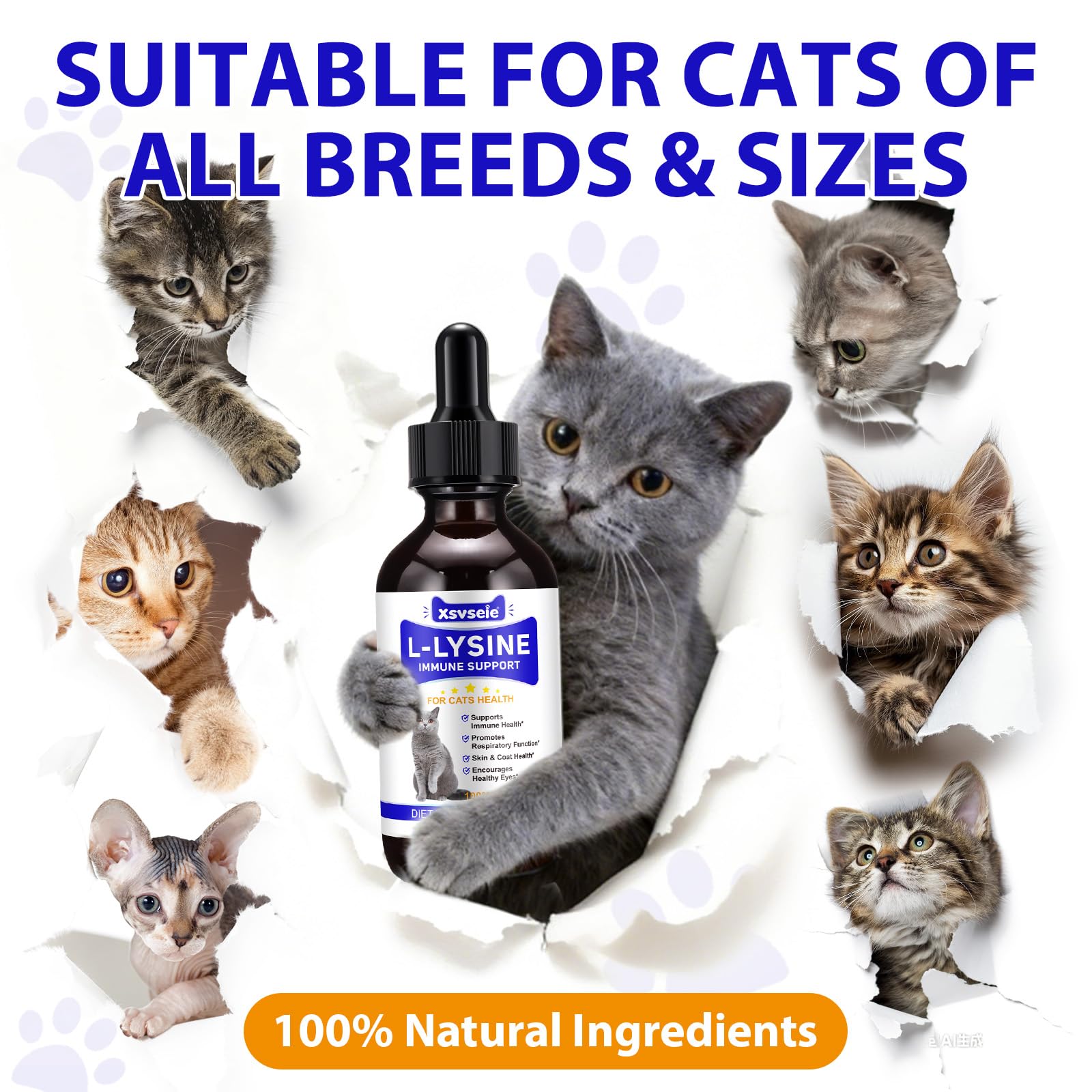 L-Lisina para Gatos, 60ML Lisina Gatos Aliviar Alergias en Gatitos, Estornudos, Gripe Felina, Antibióticos para Gatitos con Vitaminas y Minerales