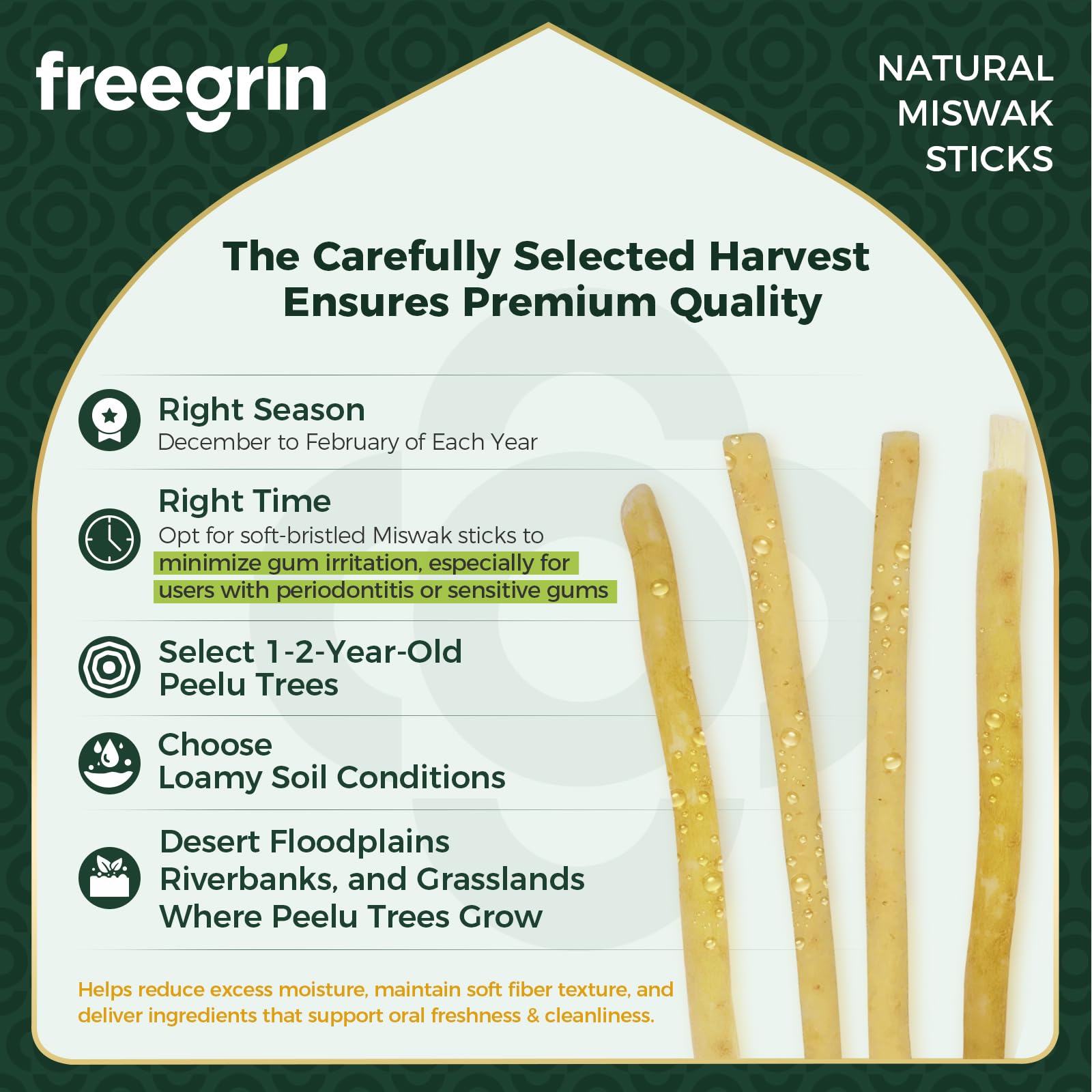 Miswak 2 sztuki naturalnych pałeczek Siwak szczoteczka do zębów do białych zębów, zdrowe dziąsła i świeży oddech, tradycyjna pielęgnacja jamy ustnej bez dodatków, idealna w podróży i na co dzień, do