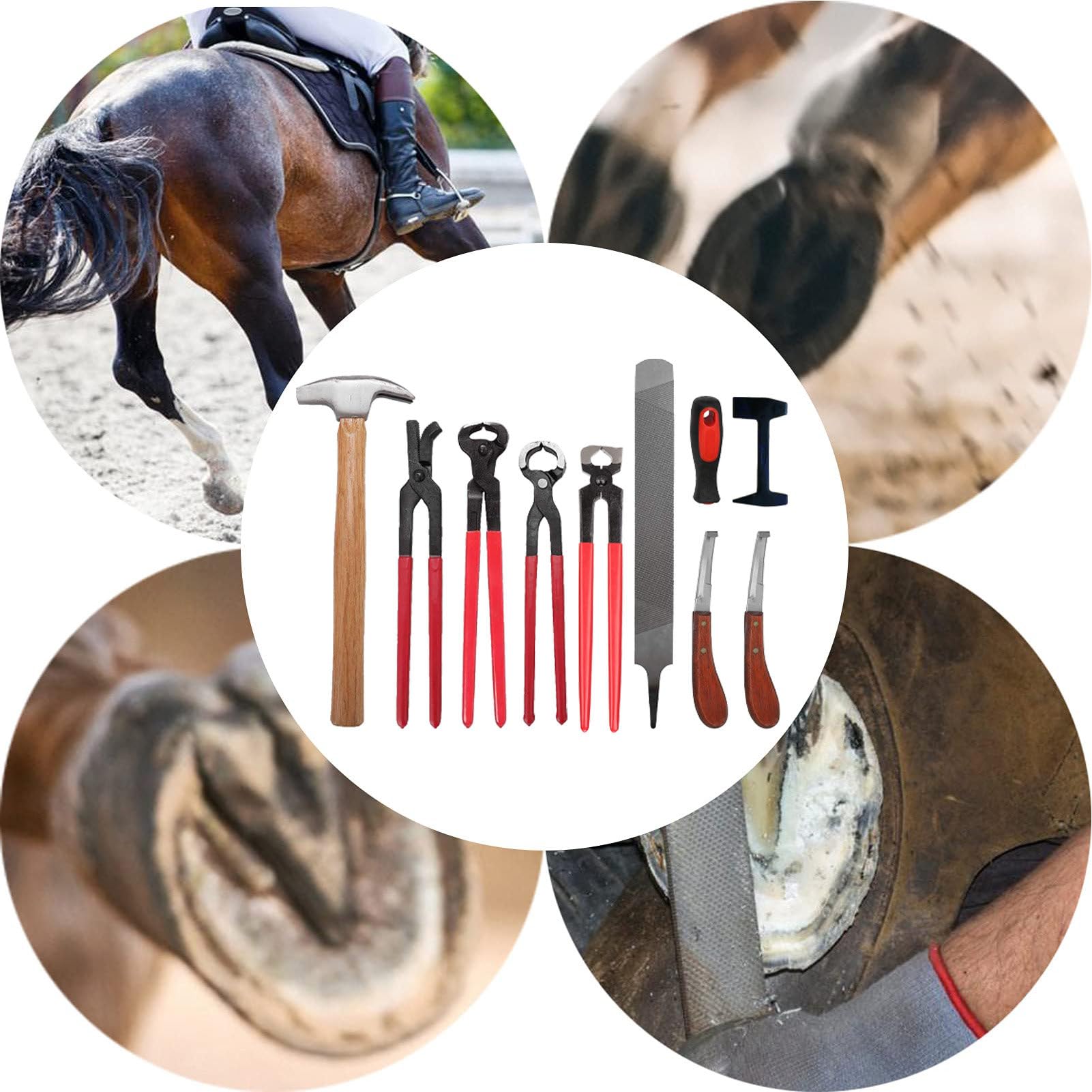 9-teiliges Hufschmied-Hufwerkzeug-Set mit Aufbewahrungstasche,inklusive Hufeisen-Schneidzangen-Set/Hufmesser/Hufhammer/Handschuhe mit rechtem Griff,Hufpflege-Werkzeugset für Rinder, Schafe