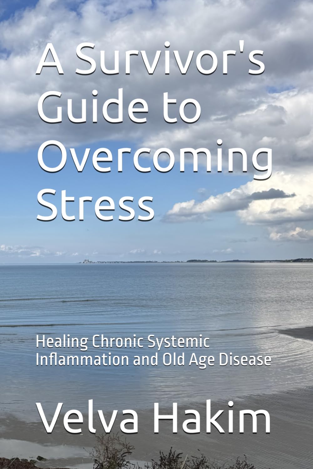 A Survivor's Guide to Overcoming Stress: Healing Chronic Systemic Inflammation and Old Age Disease