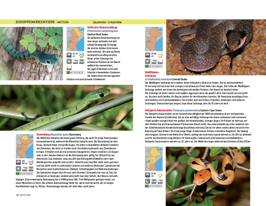 Safari-Reiseführer Ostafrika: Wenn Sie wissen möchten welches Tier Sie vor der Linse haben!: Äthiopien, Kenia, Uganda und Tansania. Säugetiere, ... Reptilien, Vögel und Nationalparks)