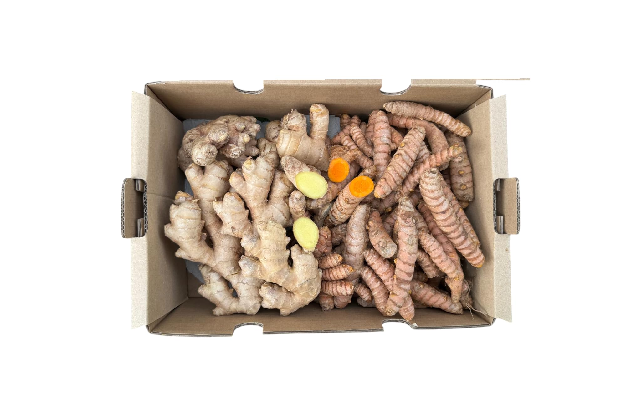 Cúrcuma Fresca + Jengibre Fresco (500 gr + 500 gr) | Raíces Naturales de Producción Local en Málaga | Cultivo Local | Ideal para Infusiones, Cocina y Zumos