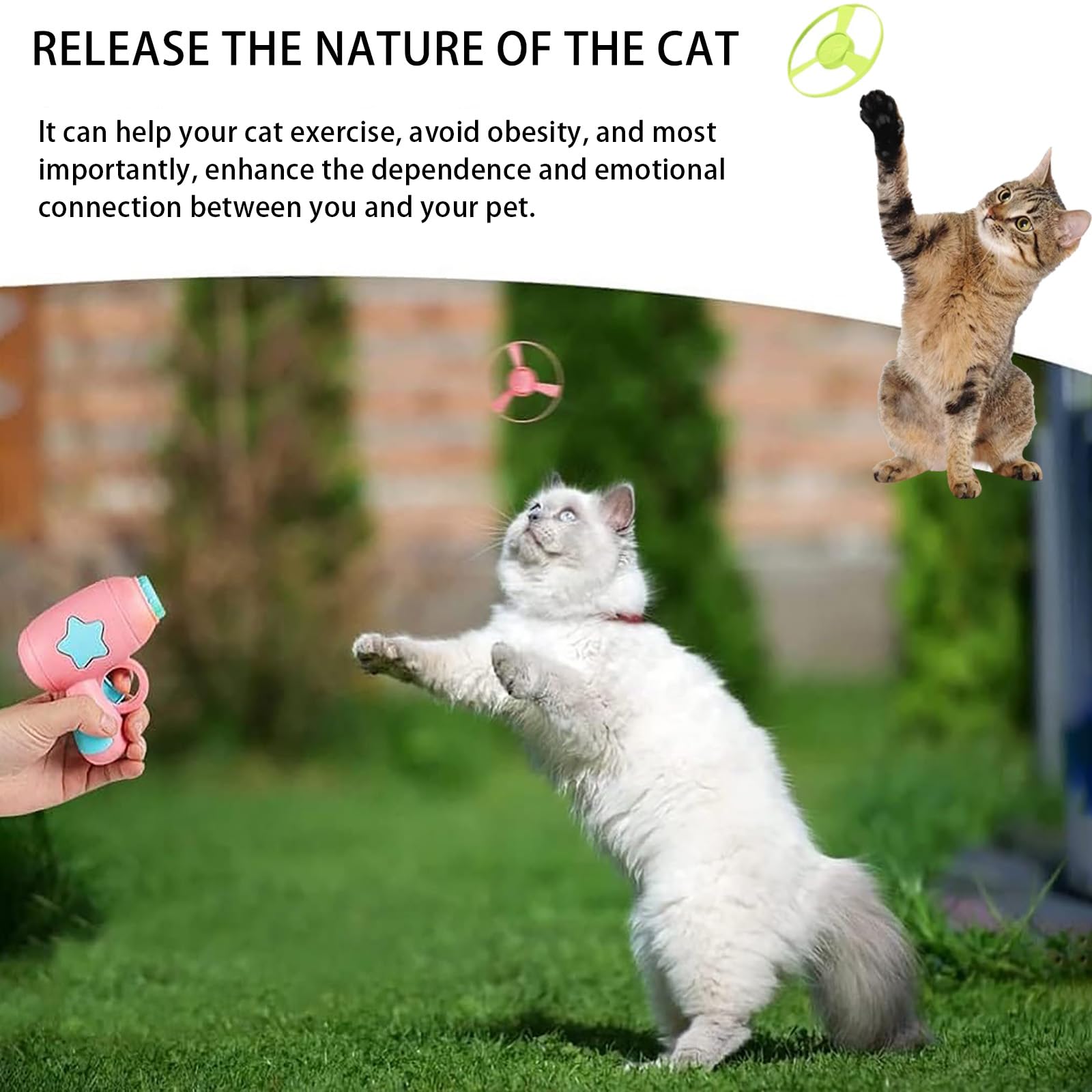 45-teiliges Katzen-Spielzeug-Set – Mit Apportier-Launcher & Bunten Propellern, Für Drinnen & Draußen