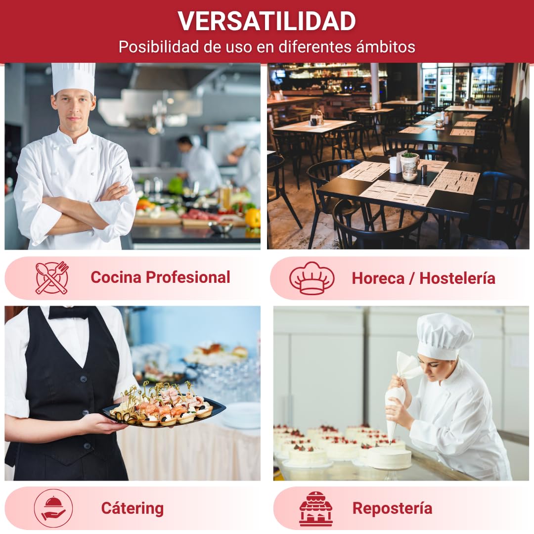 YOMMAK Freidora Aceite Profesional Sammic PF-6 | Freidora Industrial electrica 5L 3000W | Producto Cocina Premium Acero Inoxidable Cuba Desmontable Termostato Regulable | Ideal Hosteleria