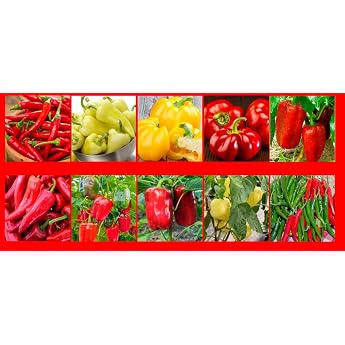 Pepper Seeds Set of 10 Varieties Pepper Professional Seeds Seeds Mix Feher Yolo California Wonder