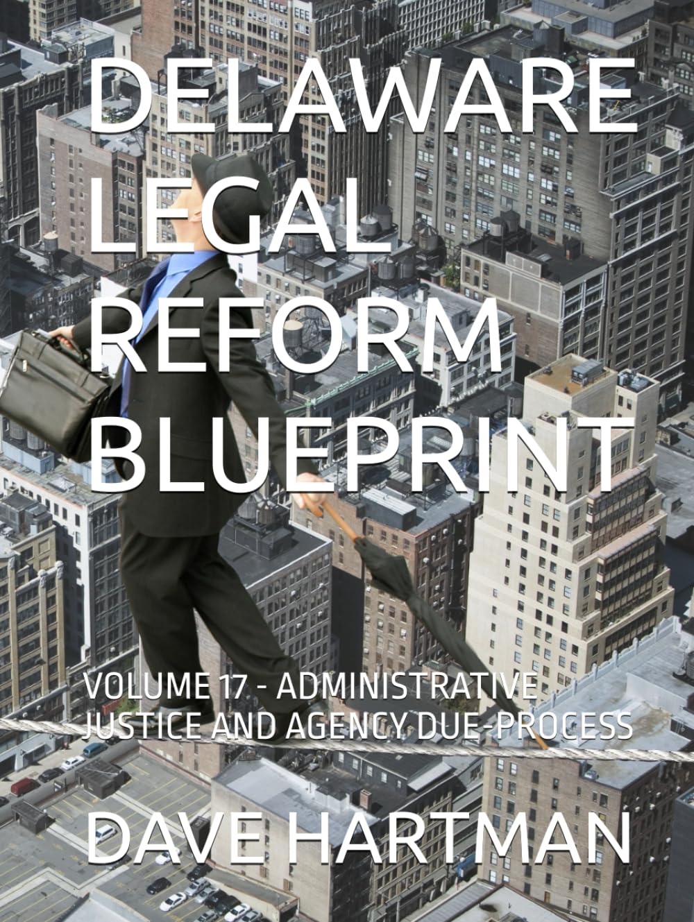 DELAWARE LEGAL REFORM BLUEPRINT: VOLUME 17 - ADMINISTRATIVE JUSTICE AND AGENCY DUE-PROCESS (Delaware Legal Reform Series)