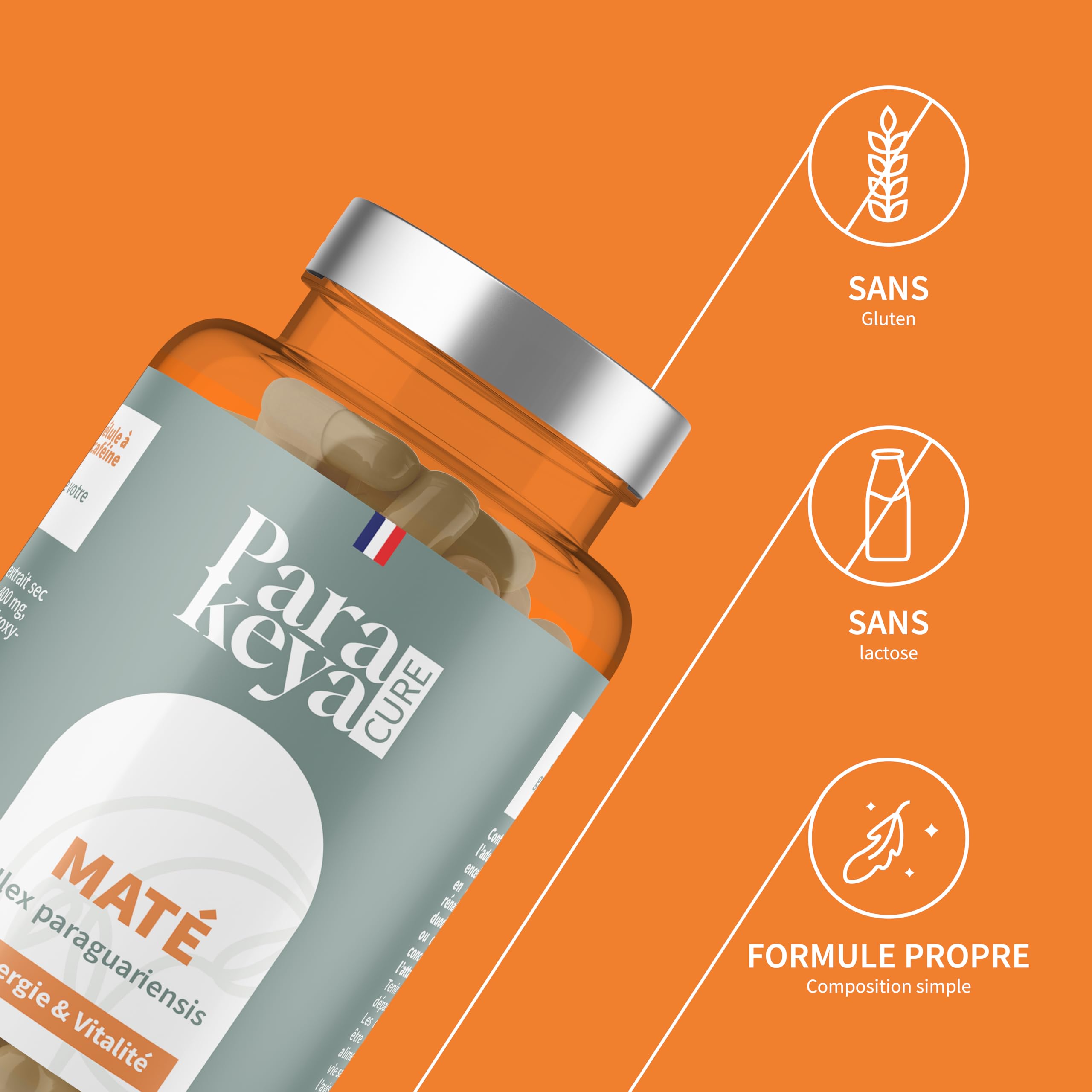Maté |Energie & Vitalité |Complément alimentaire |180 Gélules