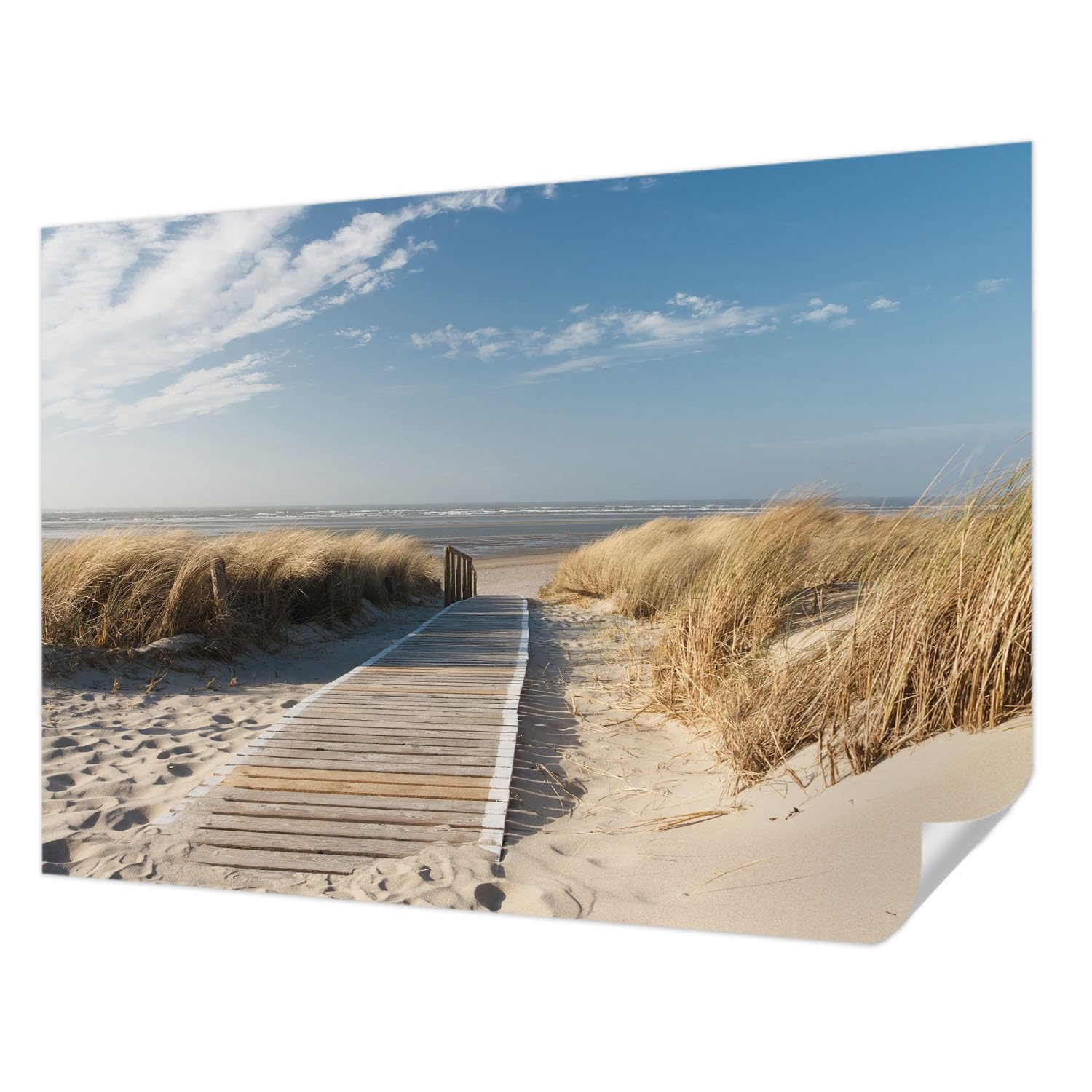 Papier peint autocollant pour chambre à coucher Tulup évasion marine 312x219 cm