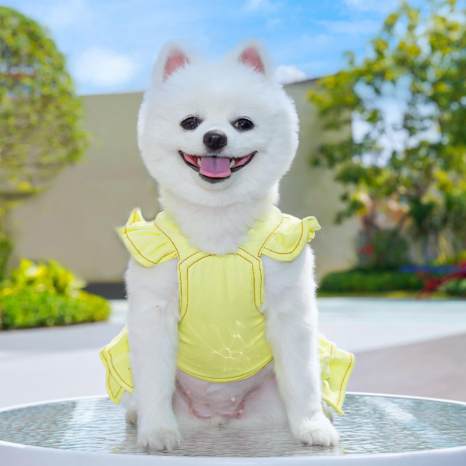 Pet No Pull Harness Set,Cat Dog Denim Dress with D-Ring Leash Bee Pin,Mesh Padded Puppy Harness Princess Dress for Training Walking_2XL(Yellow) - Image 4