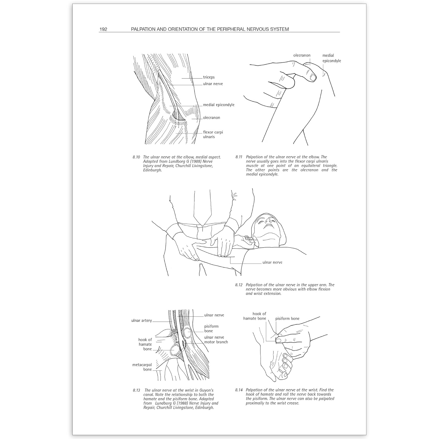 Sensitive Nervous System      1st Edition