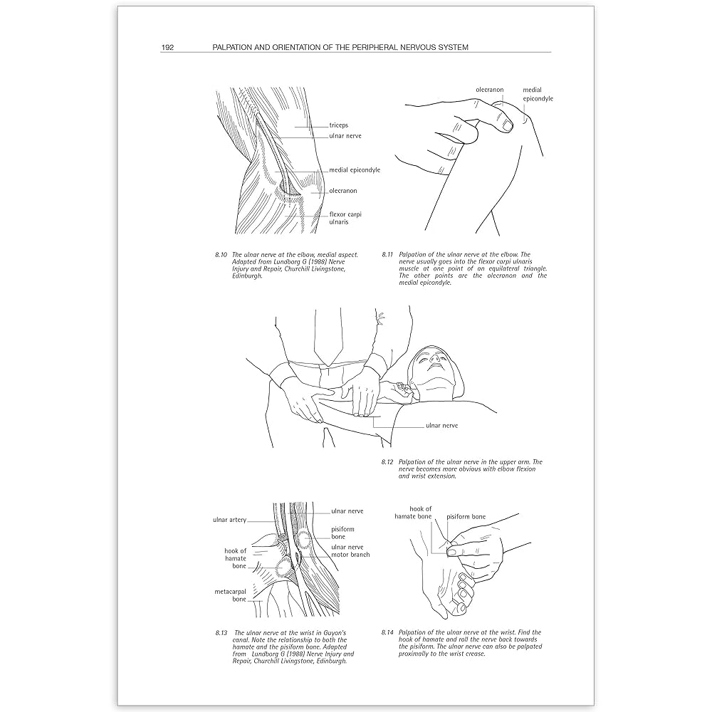 健康・医学 THE SENSITIVE NERVOUS SYSTEM The Sensitive Nervous System by David S. Butler | Goodreads