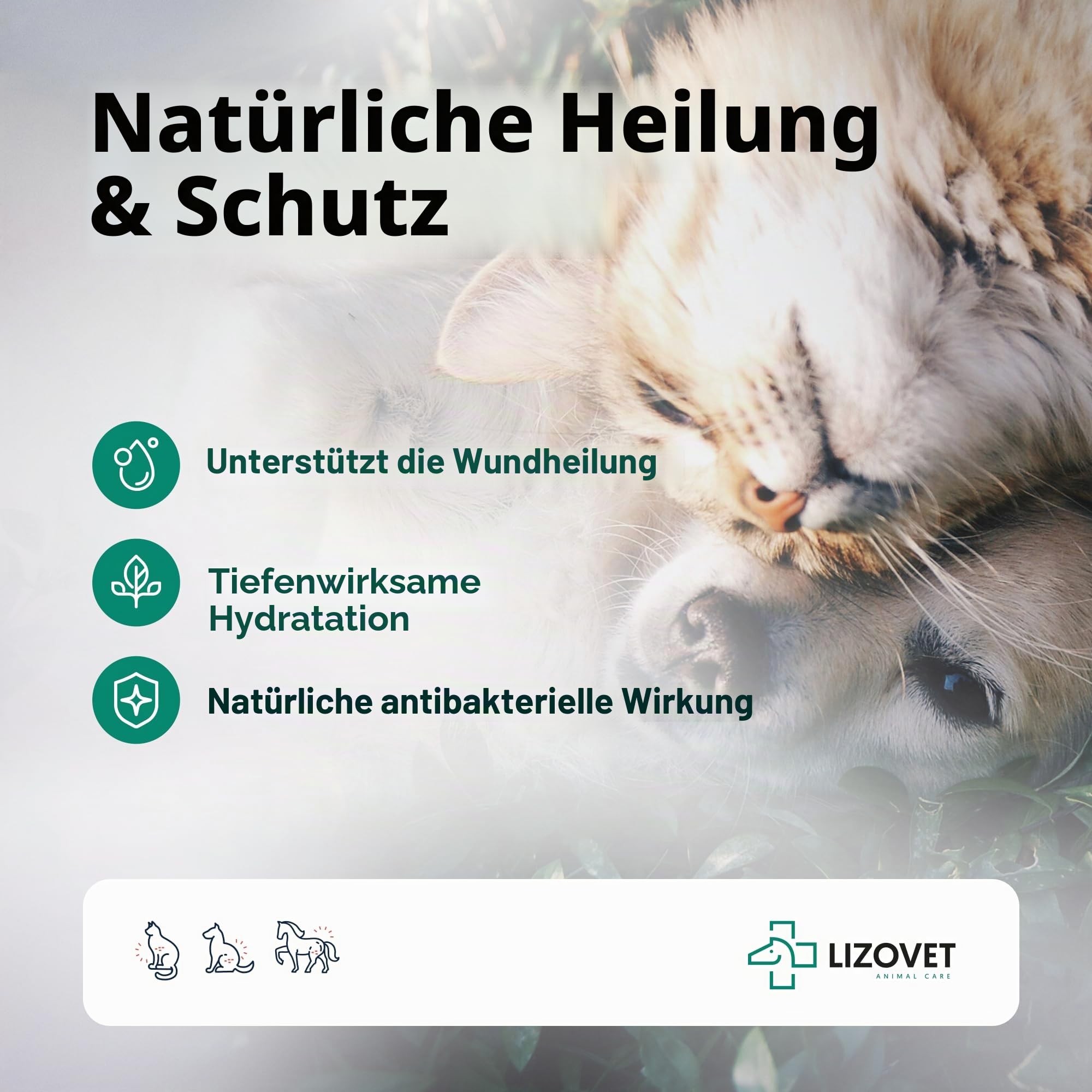 Hautpflege für Tiere, unterstützend bei der Hautregeneration, regenerationsförderndes Mittel, Salbe 40x4 ml, pflegend, antibakteriell, hydratisierend, geeignet für Pferde, Hunde und Nutztiere | Antibakteriell, hydratisierend, pflegend, für Pferde, Hunde u