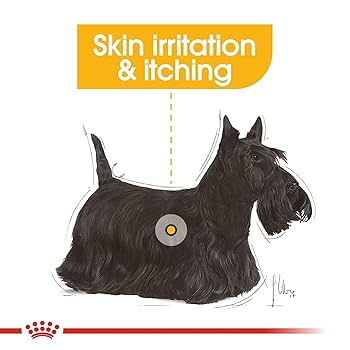 8キロ　 CANIN DERMACOMFORT MINI Mini Dermacomfort – Dog Food | Royal Canin UK