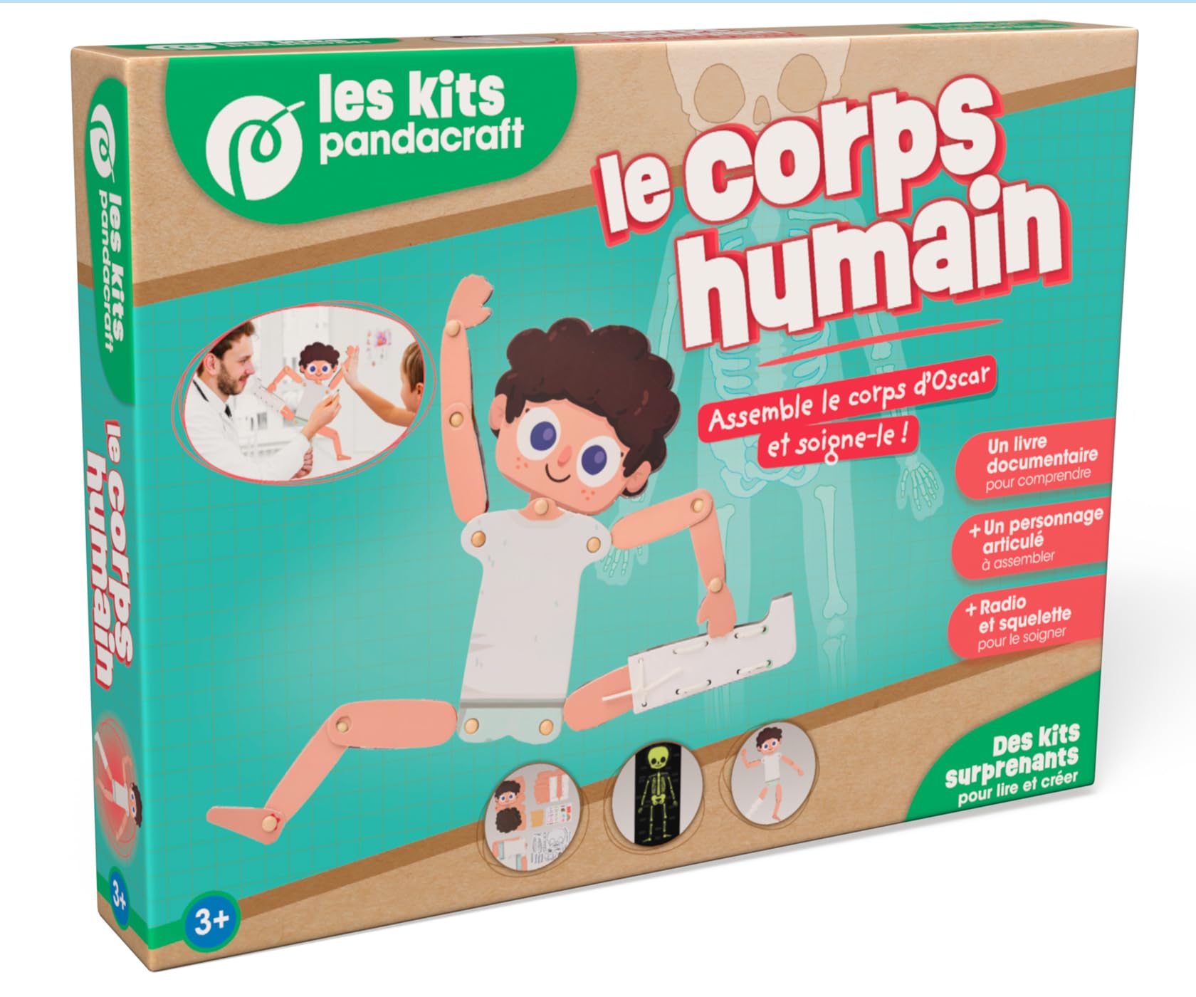 Le corps humain - Kit Pandacraft dès 3 ans: Assemble le corps d'Oscar et soigne-le !