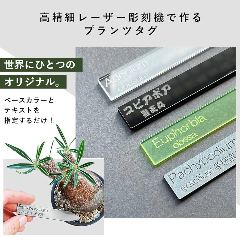 【4枚セット】SRL NEIGHBORHOOD ネームタグ 植物ラベル 4枚セット】SRL NEIGHBORHOOD ネームタグ 植物ラベル