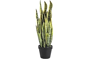Artificial Snake Plant Tall | Faux Snake Plant Tall 26" Inches