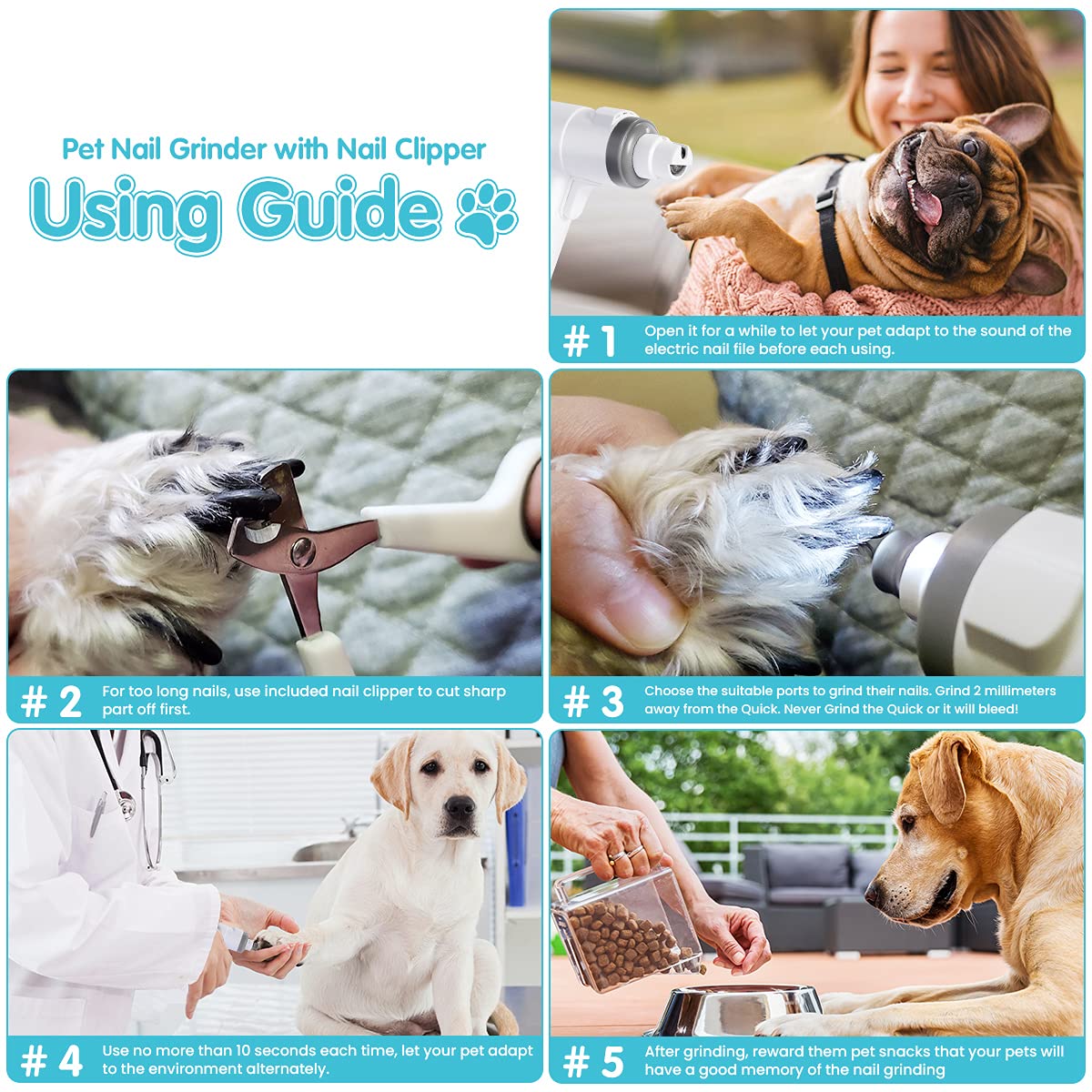 A Guide For Using A Nail Grinder On Your Dog