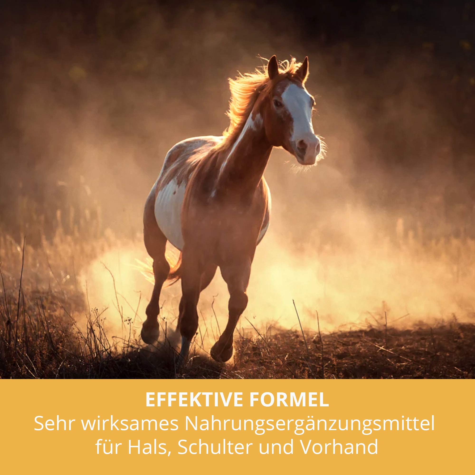 Smooth Upper Body Horse - Suplement odżywczy dla mięśni wcześniej, szyi i szyi - 180 tabletek po 1000 mg