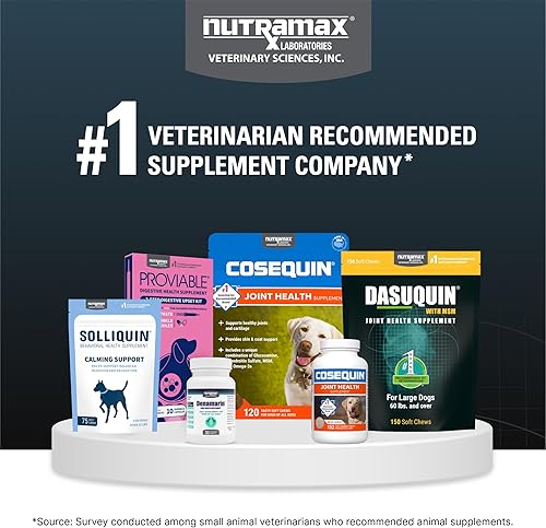 Vista 17 de Tabletas masticables para perros Nutramax Dasuquin con MSM
