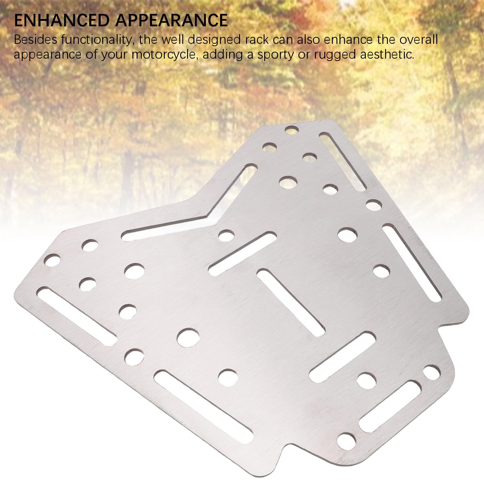CHICIRIS Pastilla de Equipaje Trasero de Motocicleta, Soporte de Almacenamiento Extraíble de Acero Inoxidable con Alta Capacidad de Carga para Zontes 310M 350D X310 350X 368D 368M