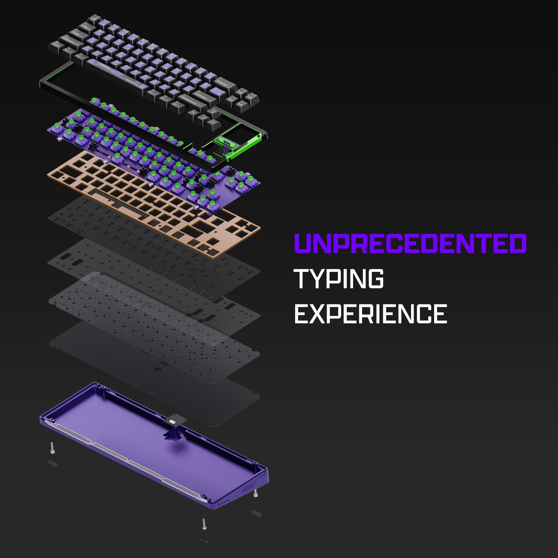 https://m.media-amazon.com/images/I/71b5oE4UwYL.jpg