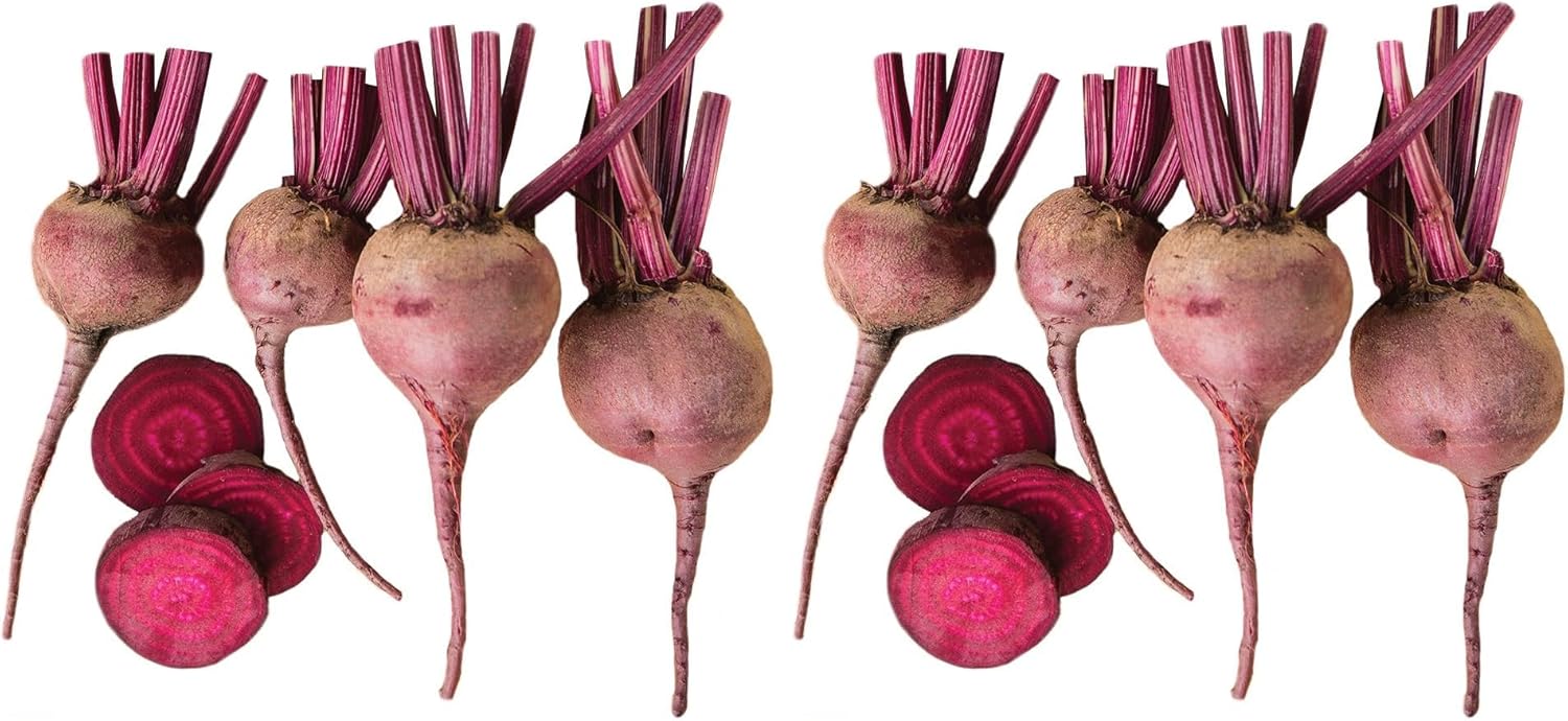 Burpee Merlin Beet Seeds 300 Seeds (Pack of 2)